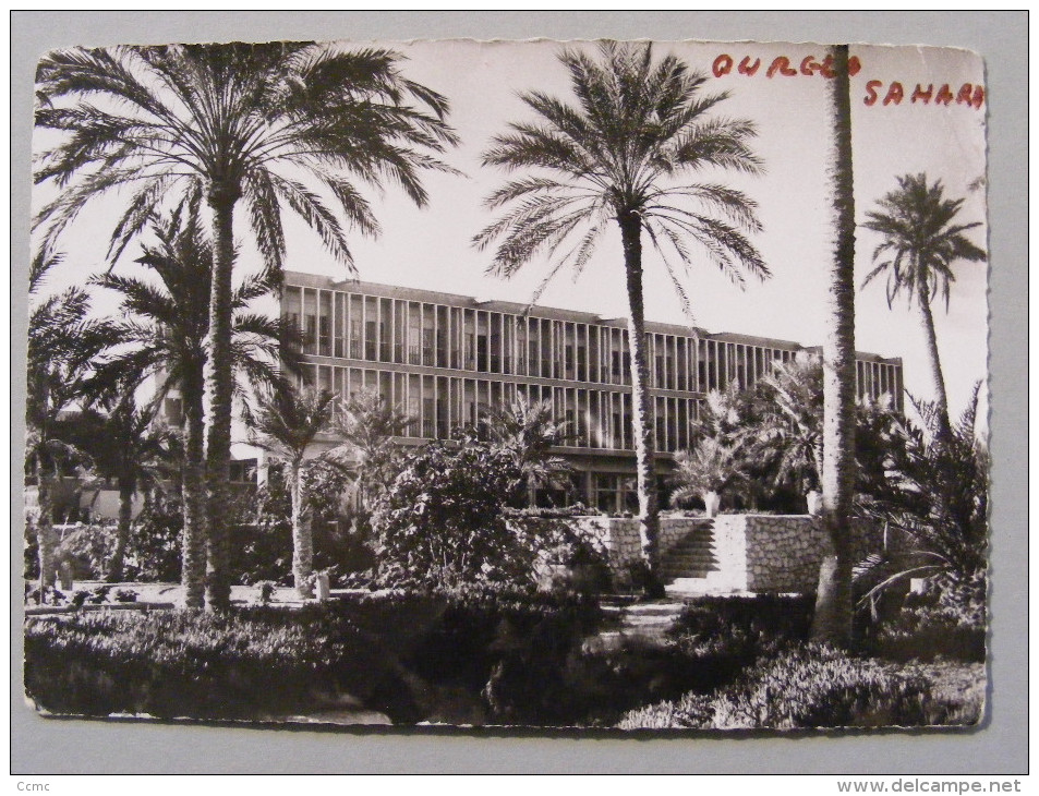 CPSM Ouargla (Algérie) - Hôtel Transatlantique, Vue Générale De L'Hôtel - Ouargla