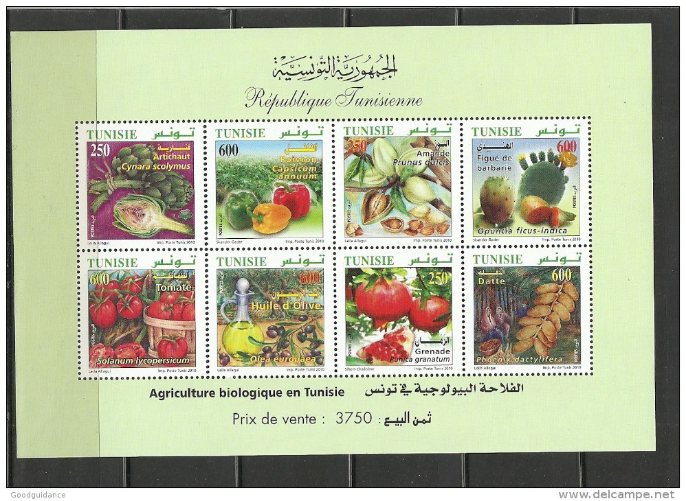 2010-Tunisia/Organic Farming In Tunisia/Perforated Sheet. - Landbouw