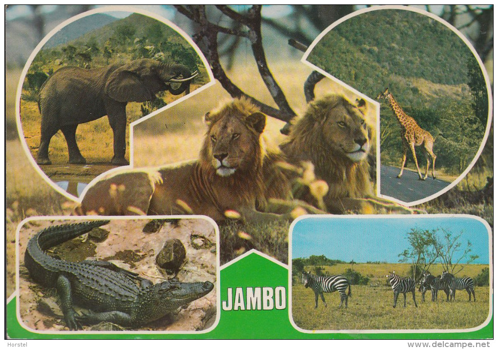 Kenia - Jambo - Wildlife - Lion - Crocodile - Zebra - 3x Nice Stamps - Kenia