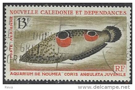 NEW CALEDONIA 13 FRANCS AQUARIUM FISH CORIS ANGUILATA MARINE LIFE SET OF 1 UNH 1964 SG388 READ DESCRIPTION !! - Gebraucht