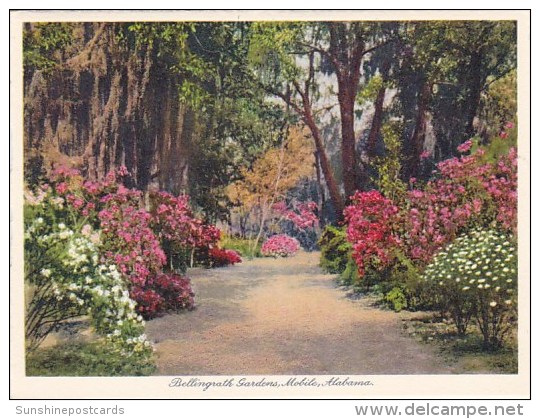 Path Bellingrath Gardens Mobile Alabama - Mobile