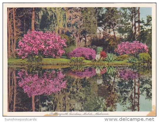 Beautiful Lake Bellingrath Gardens Mobile Alabama - Mobile