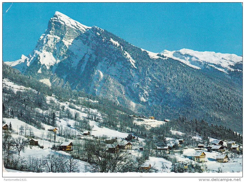 SAMOENS VUE PARTIELLE DE LA STATION (dil211) - Samoëns