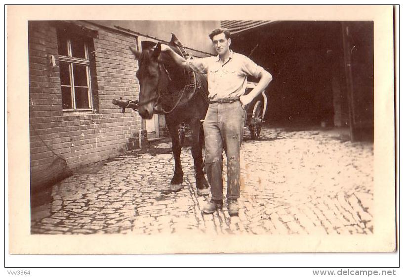 Jeune Homme Avec Son Cheval  Attelé - Fotografie