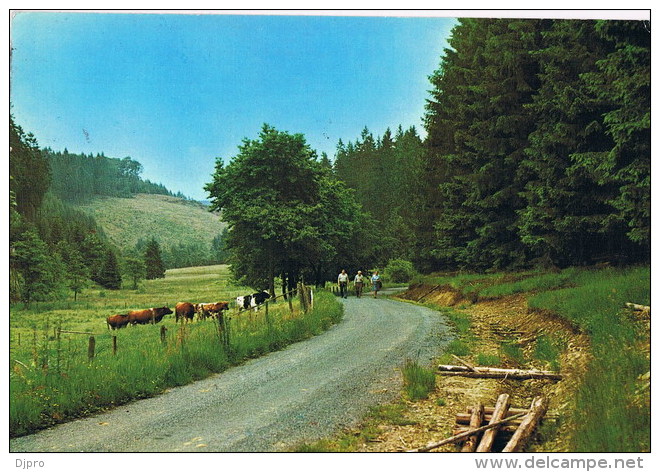 Manderfeld    Frankental - Bullange - Bullingen