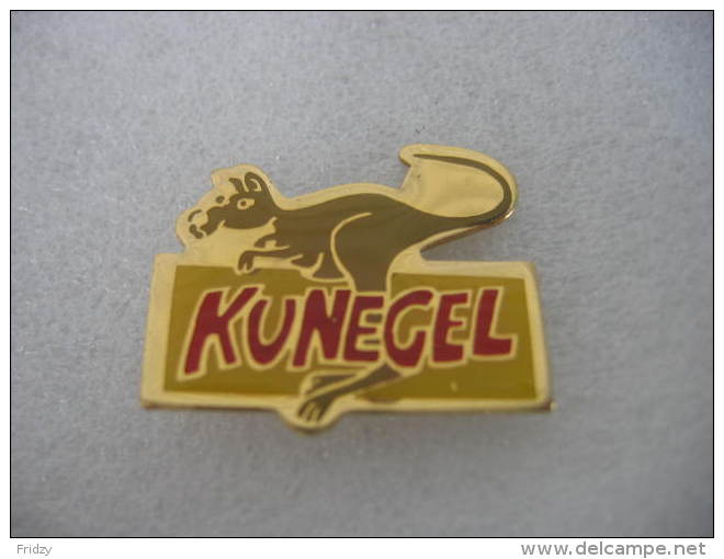 Pin´s Embleme Des Autocars KUNEGEL - Transports