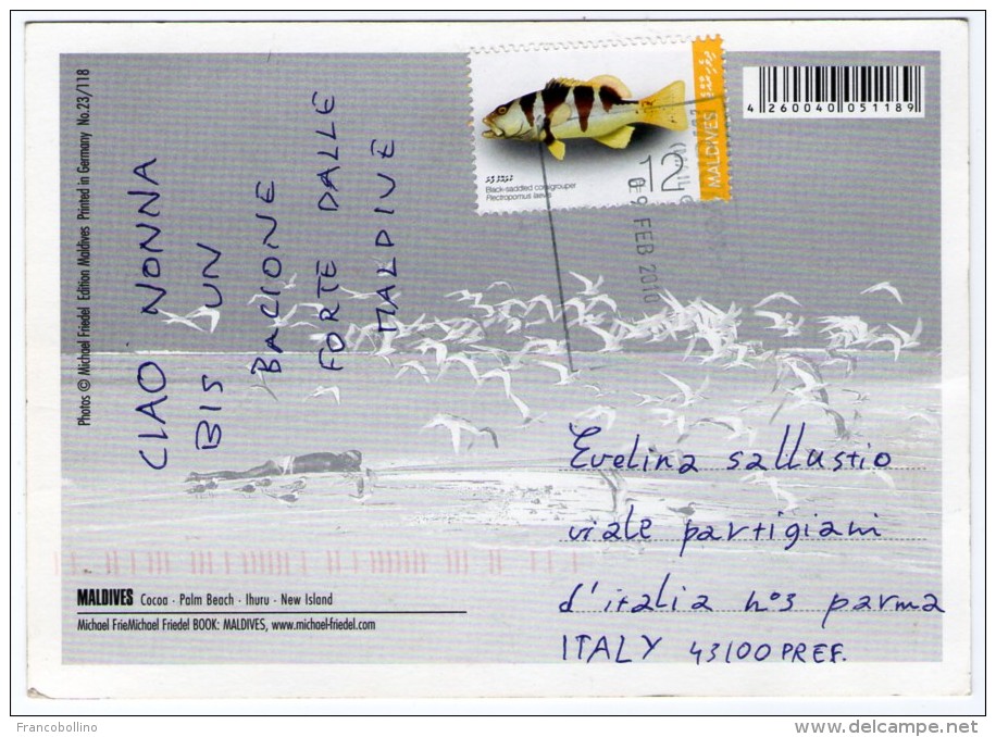 MALDIVES-COCOA - PALM BEACH - IHURU - NEW ISLAND (PHOTO MICHAEL FRIEDEL No.23/118) / THEMATIC STAMP-FISH - Maldiven