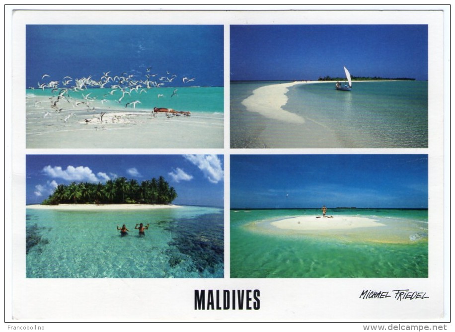 MALDIVES-COCOA - PALM BEACH - IHURU - NEW ISLAND (PHOTO MICHAEL FRIEDEL No.23/118) / THEMATIC STAMP-FISH - Maldiven