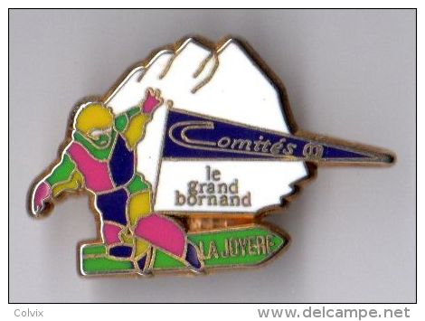 PIN´S SPORT SNOWBOARD VILLE LE GRAND BORNAND Signé Plessis - Skateboard