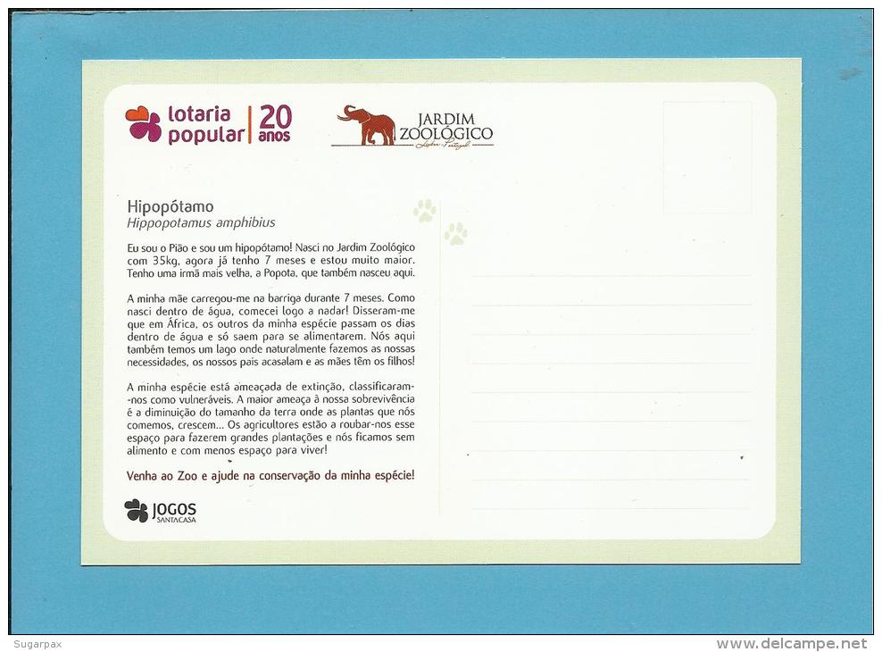 Hipopótamo ( Hippopotamus Amphibius ) Hippo - Crias Do Jardim Zoológico - Lisbon ZOO Lisboa - Portugal - Flusspferde