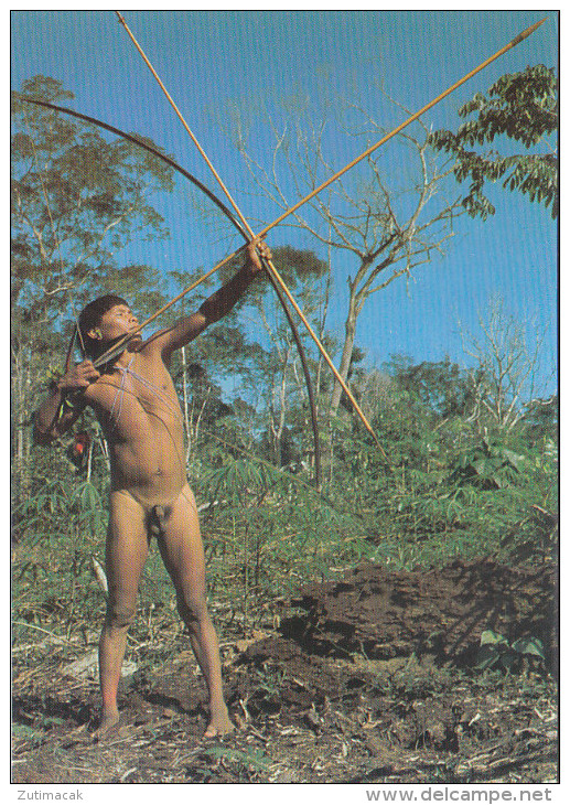 Brazil - Nude Uaika Indian Man W Bow - America