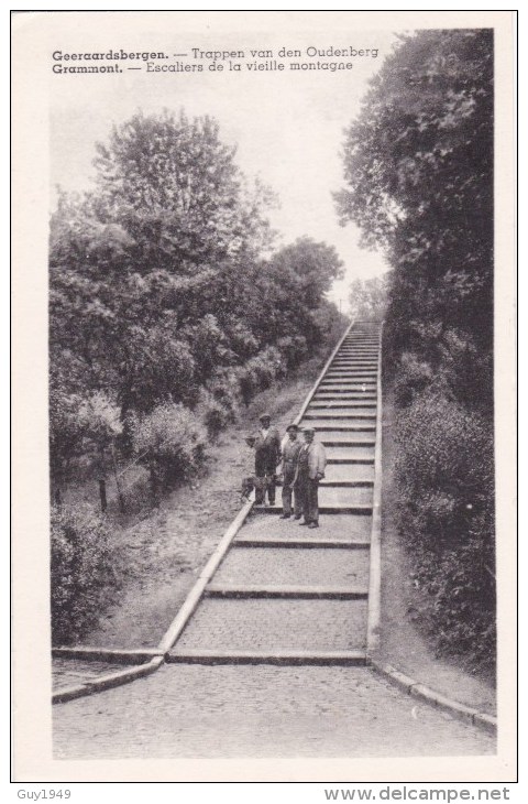 TRAPPEN VAN DE OUDENBERG - Geraardsbergen