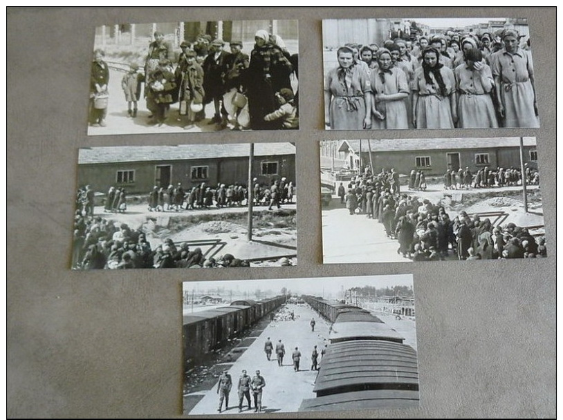 LOT PHOTOS (RETIRAGES) 11.5X18.5 CMS Camp D´AUSCHWITZ SEPTEMBRE 1943 LE MARTYR DES JUIFS DANS CE CAMP D´EXTERMINATION - Other & Unclassified