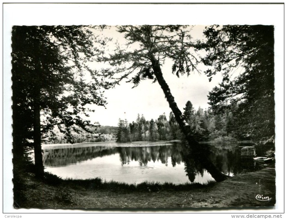 CP - SAINT GERMAIN L HERM (63) ETANG DE LA FARGETTE - Autres & Non Classés