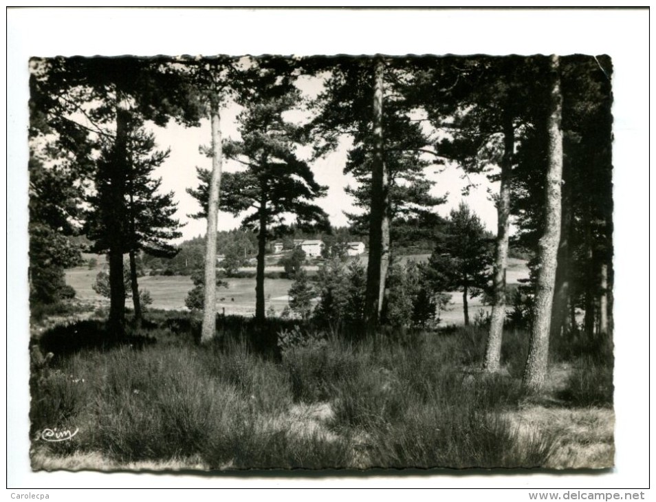 CP - SAINT GERMAIN L HERM (63) UNE FERME PARMI LES SAPINS - Autres & Non Classés