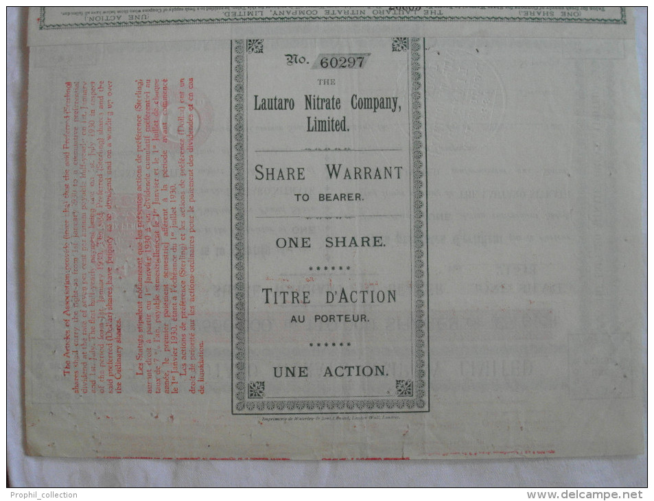 Action 1905 The Lautaro Nitrate Company Limited Share Warrant To Bearer  I Fully-paid-up For 5 Pound Share Emprunt Titre - Industrie