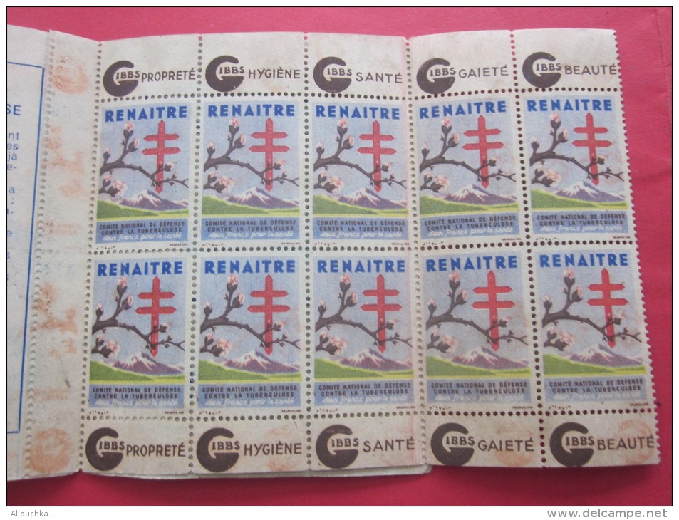 Rare 1945 ERINNOPHILIE FRANCE BLOC CARNET 10 VIGNETTE ANTI TUBERCULEUX NESTLE GIBBS 15é CAMPAGNE CONTRE TUBERCULOSE - Blocks & Sheetlets & Booklets