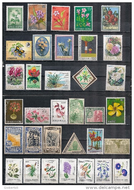 Flora/Flore: Lotto Di 34 Pezzi, Lot Of 34 Pieces, Lot De 34 Pièces - Other & Unclassified