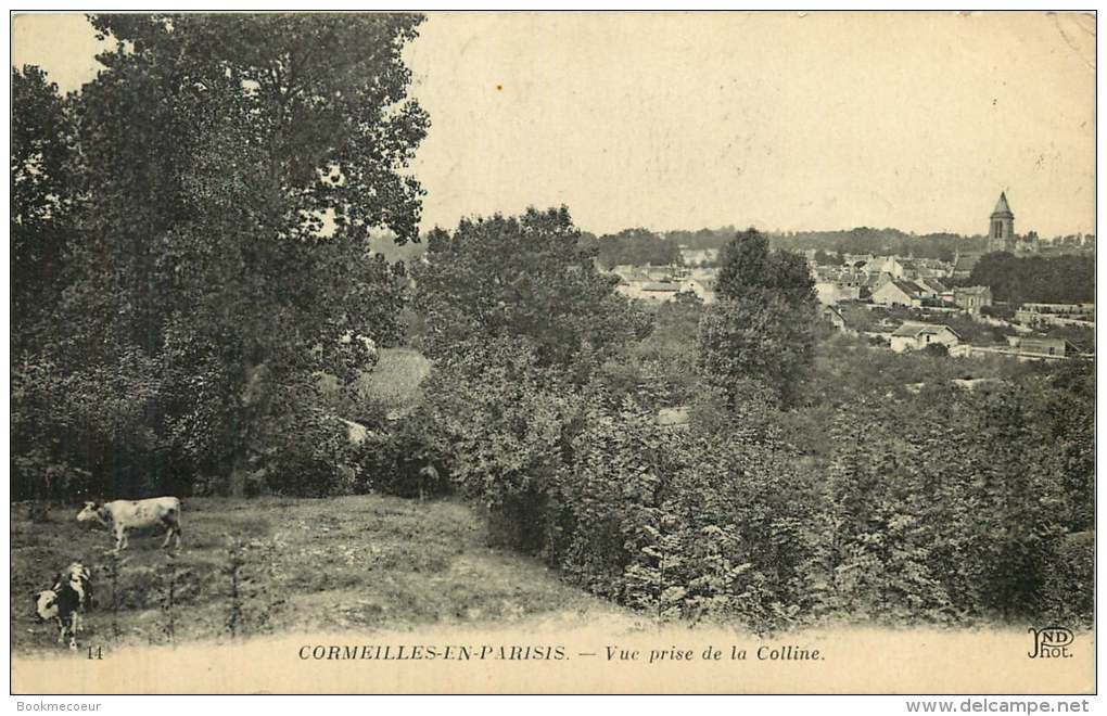 95    CORMEILLES  EN PARISIS   VUE PRISE DE LA COLLINE  14 - Cormeilles En Parisis