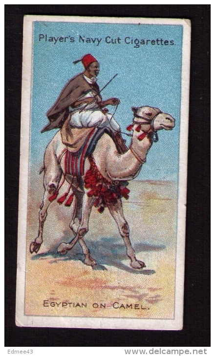 Petite Image (trade Card) Cigarettes John Player, « Riders Of The World » (cavaliers), N° 42, Égyptien à Dos De Chameau - Player's