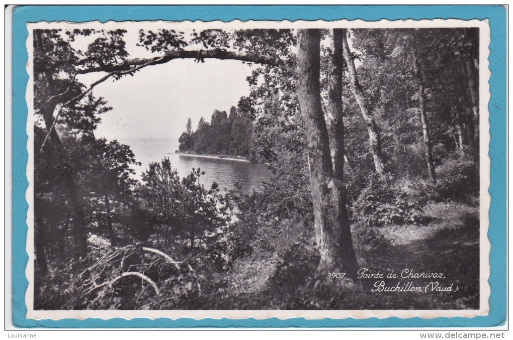 POINTE  DE  CHANIVAZ  . BUCHILLON  -  CPSM - Buchillon