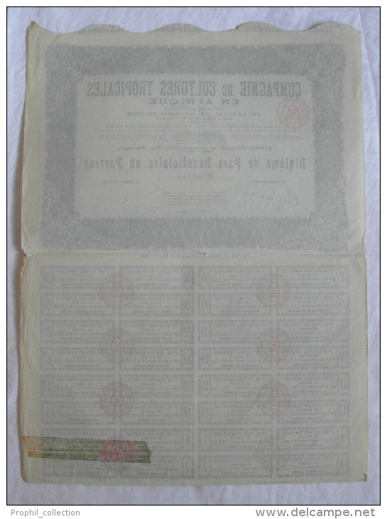 Action 1928 Compagnie Cultures Tropicales En Afrique Tambacounda Senegal Dixieme Part De Beneficiaire Titre Coupons - Africa