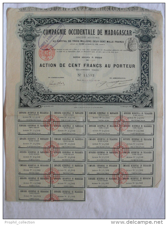 Action 1910 Compagnie Occidentale Madagascar 100 F Action Au Porteur TIMBRE HUMIDE Siege à Paris Emprunt Titre Coupons - Afrique