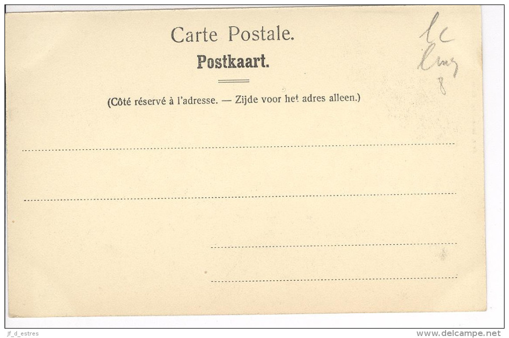 CP Environs De Bruxelles. Château De Ternath Ternat Légèrement Colorisé Vers 1905 Nels - Ternat