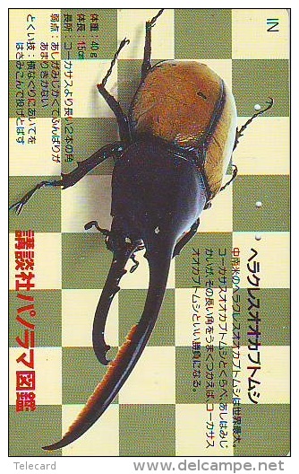 BUG - Punaise -  Kever - Insect (128) - Altri & Non Classificati