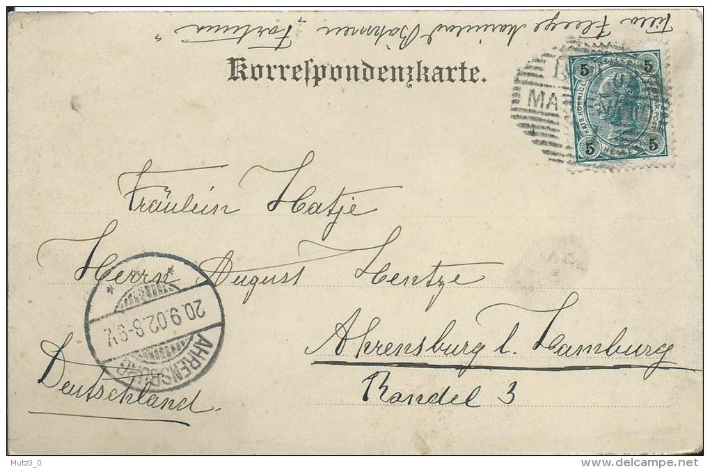 AK 0101  Marianbad - Parkanlagen / Handcolorierte Künstlerkarte Um 1902 - Tschechische Republik