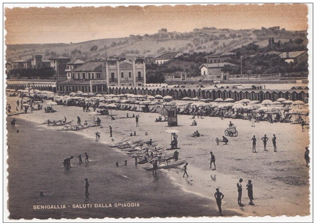 552 - SENIGALLIA SALUTI DALLA SPIAGGIA ANNI 30 ANIMATISSIMA - Senigallia