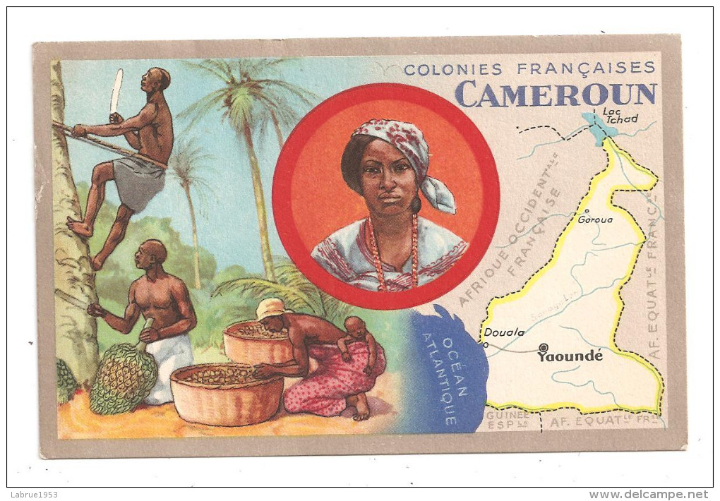 Cameroun-- Les Colonies Françaises--Produits Du Lion Noir--(A.6018) - French Guinea