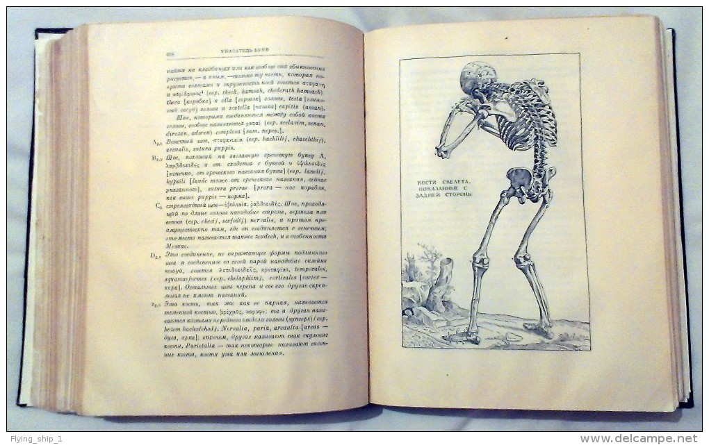 Old RARE Russian Book. A. Vesalius" On The Structure Of The Human Body" 1 Is 1950  Serie " Classics Of Science " - Idiomas Eslavos