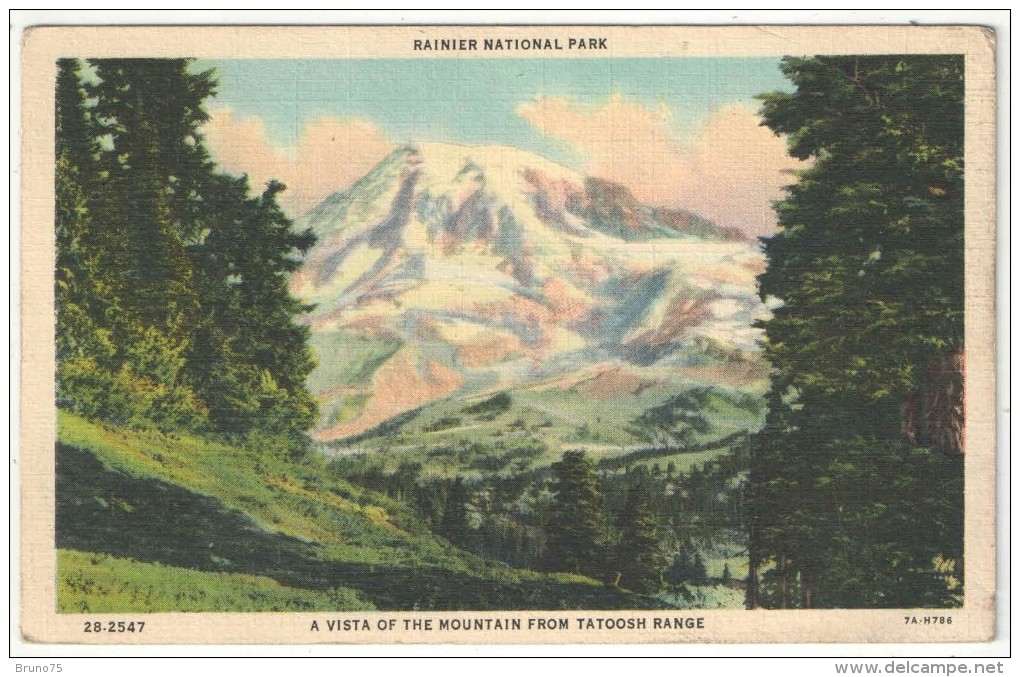 Rainier National Park, A Vista Of The Mountain From Tatoosh Range - USA National Parks