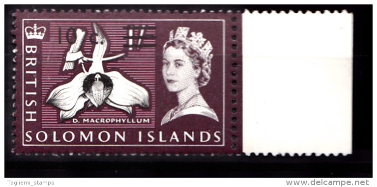 British Solomon Islands, 1966, SG 143B, MNH (Wmk Sideways) - Iles Salomon (...-1978)