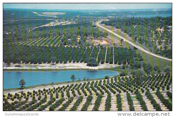 Citrus Groves And Lakes As Seen From The Top Of The Citrus Tower West Palm Beach Florida 1969 - West Palm Beach