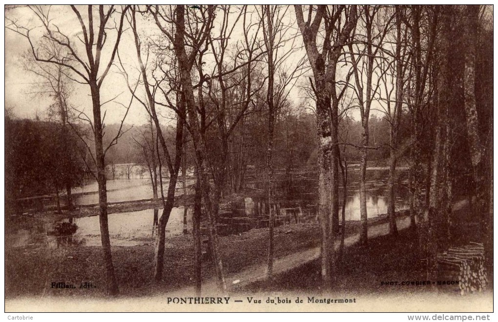 77 - PONTHIERRY - Vue Du Bois De Montgermont - Saint Fargeau Ponthierry