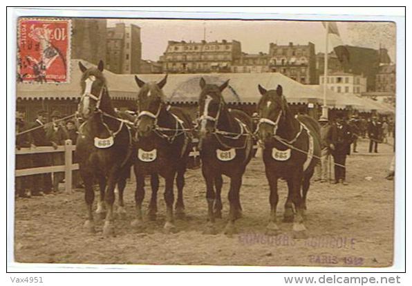 CONCOURS AGRICOLE PARIS 1913   PRESENTATION CHEVAUX N° 681-682-683-685 - Expositions