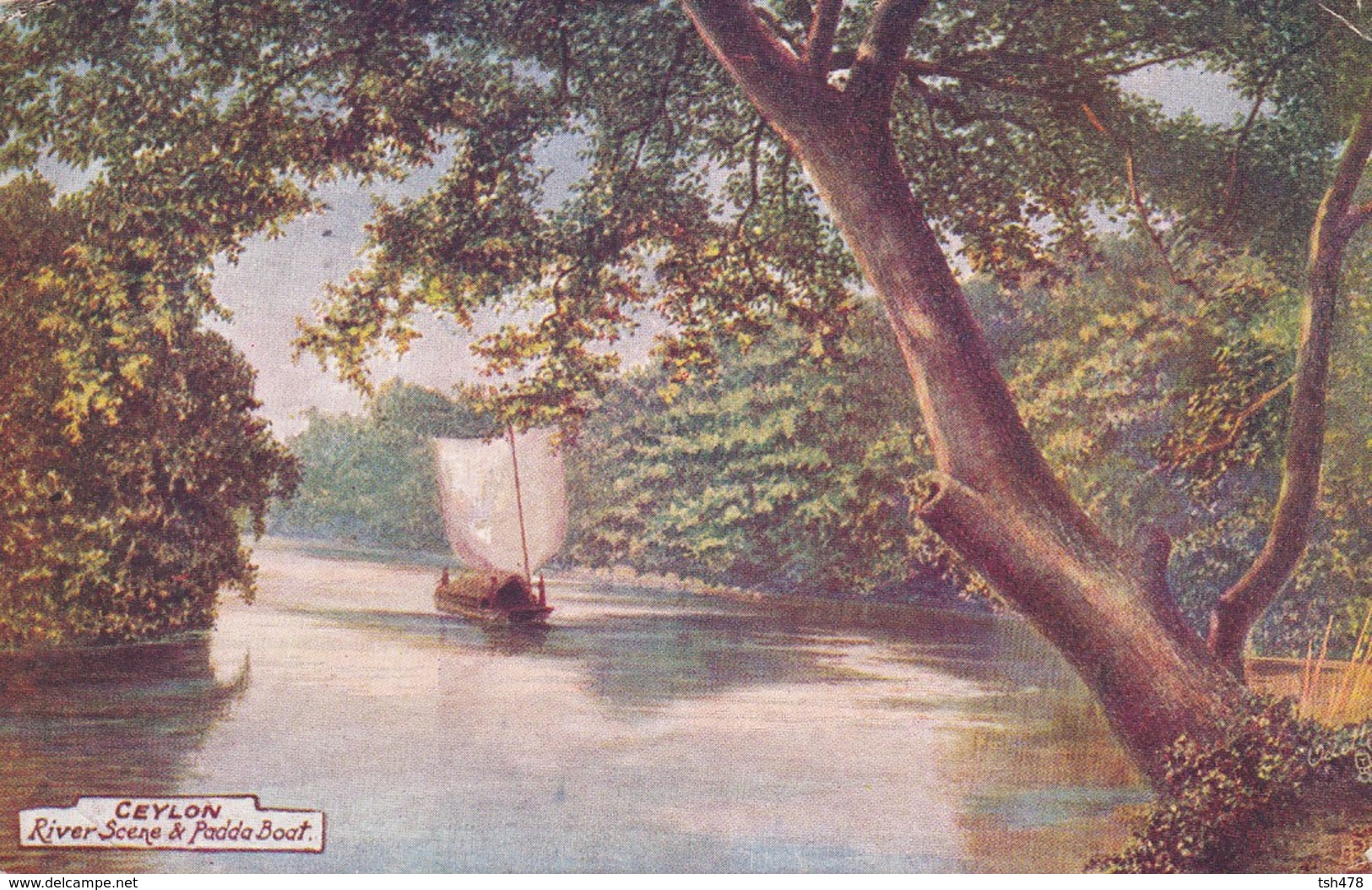 ASIE-----SRI LANKA--CEYLON--river Scene & Padda Boat--voir 2 Scans - Sri Lanka (Ceylon)