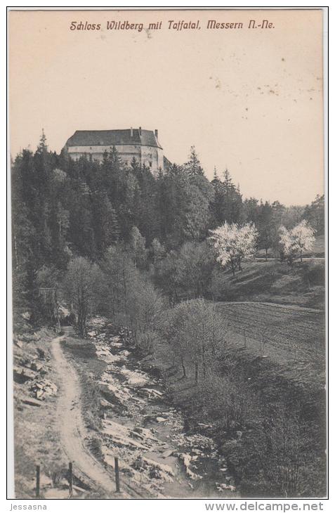 AK - Schloss Wildberg Mit Taffatal - Messern 1913 - Horn