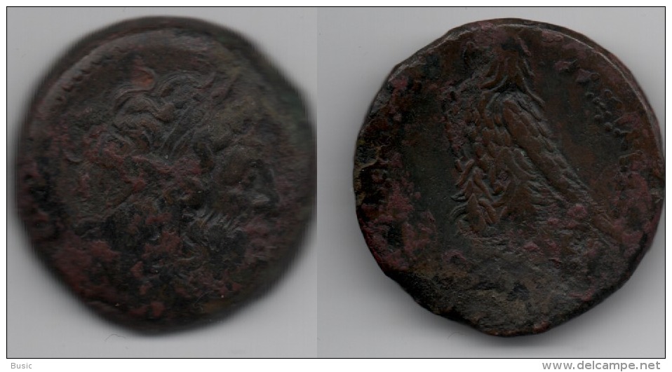 + Monnaie Romaine +  EGYPTE+  PTOLEMEE+ EVERGETE - 246 -221 Avant JESUS CHRIST + - Autres & Non Classés