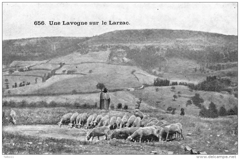 Larzac - Une Lavogne - 656 - Other & Unclassified