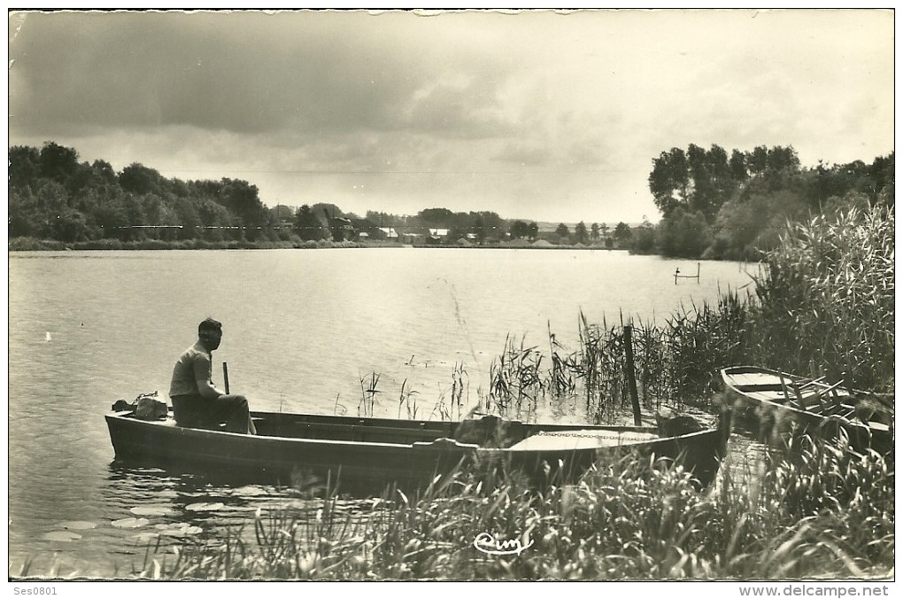 89 Yonne ST MARTIN DU TERTRE Les Bords De L Yonne - Saint Martin Du Tertre