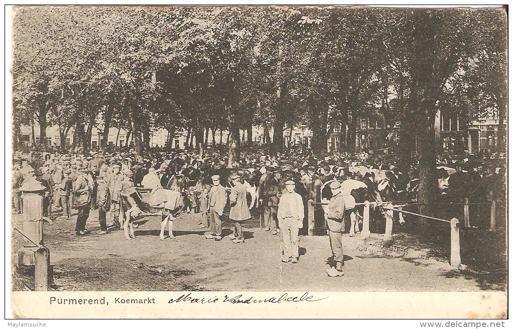 Pumerend 1907 - Purmerend