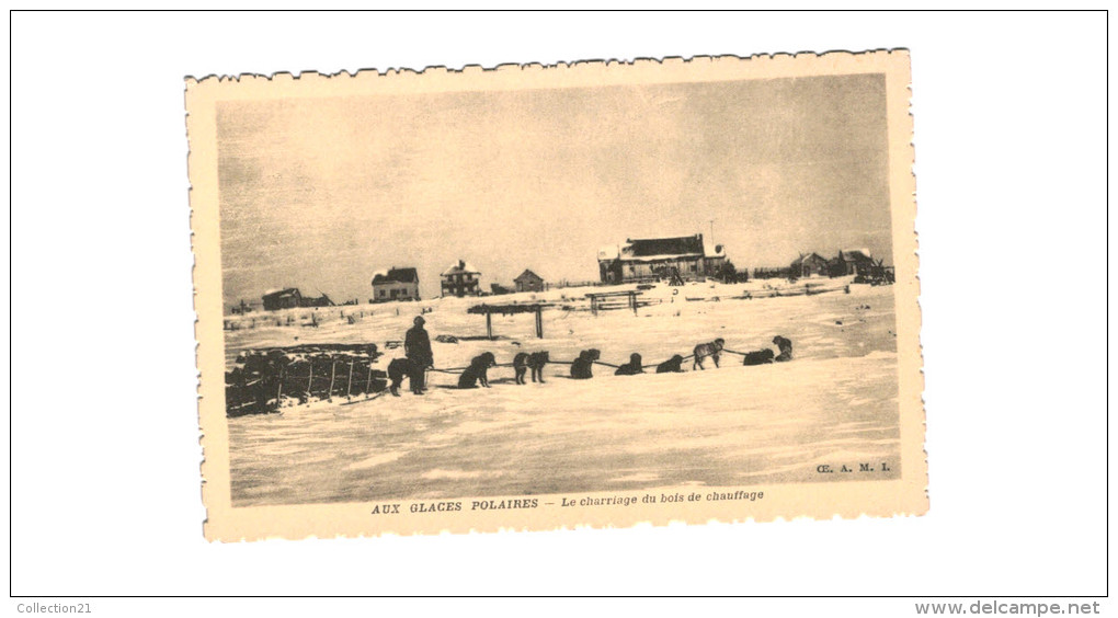 POLAIRE .... AUX GLACES POLAIRES ... LE CHARRIAGE DU BOIS DE CHAUFFAGE ... ATTELAGE DE CHIEN - Amerika