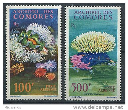 140 COMORES 1962 - Corail (Yvert A 5/6) Neuf ** (MNH) Sans Trace De Charniere - Unused Stamps