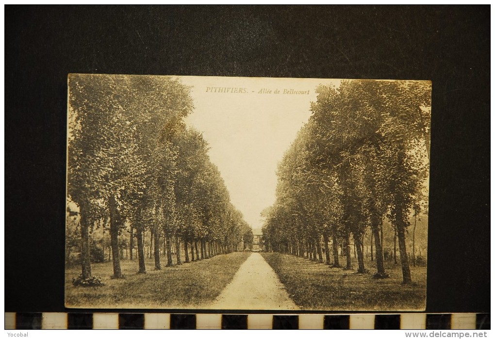 CP, 45, PITHIVIERS Allée De Bellecourt Ecrite En 1918 - Pithiviers