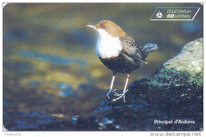 ANDORRA PHONECARD(STA) DIPPER  A:0103-20000pcs -4/99-USED - Sperlingsvögel & Singvögel