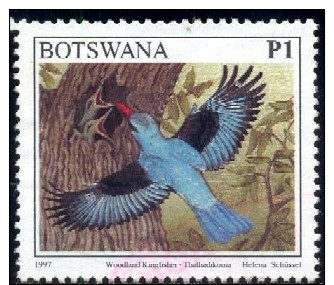 Bird, Woodland Kingfisher, Botswana Stamp SC#631 Used - Botswana (1966-...)