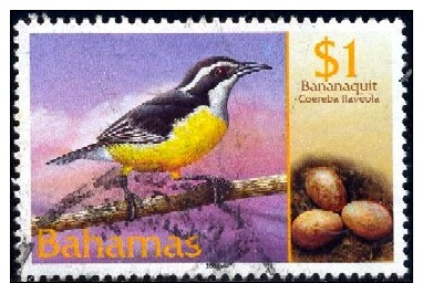 Bird, Bananaquit, Bahamas Stamp SC#1019 Used - Bahamas (1973-...)